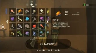 ゼルダの伝説ティアーズオブザキングダム攻略 ゼルダの伝説ティアーズオブザキングダム攻略